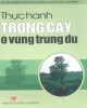 Ebook Thực hành trồng cây ở vùng trung du: Phần 2