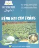 Ebook Bác sĩ cây trồng (Quyển 7 - Bệnh hại cây trồng): Phần 1