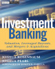 Ebook Investment banking: Valuation, leveraged buyouts, and mergers and acquisitions - Part 1