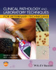 Ebook Clinical pathology and laboratory techniques for veterinary technicians: Part 1