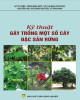 Ebook Kỹ thuật gây trồng một số cây đặc sản rừng: Phần 1