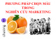 Bài giảng Nghiên cứu marketing - Chương 3: Phương pháp chọn mẫu trong nghiên cứu marketing